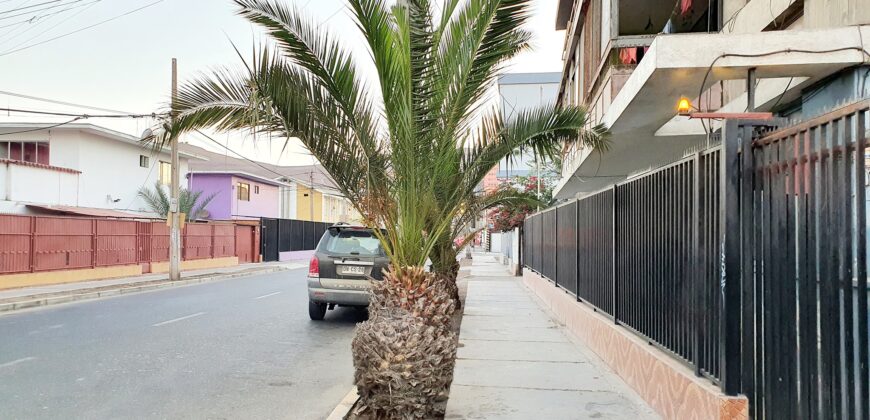 Arturo Prat, Arica