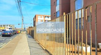 SE ARRIENDA DEPTO EN SOTOMAYOR
